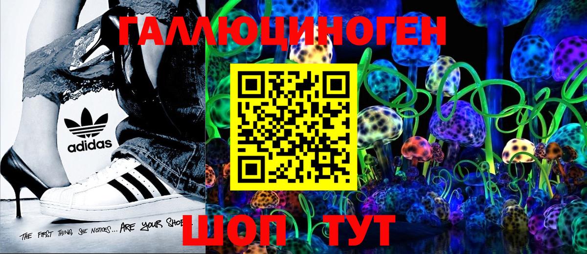 закладки  Вход с VPN  Кызыл  Галлюциногенные грибы прущие грибы 